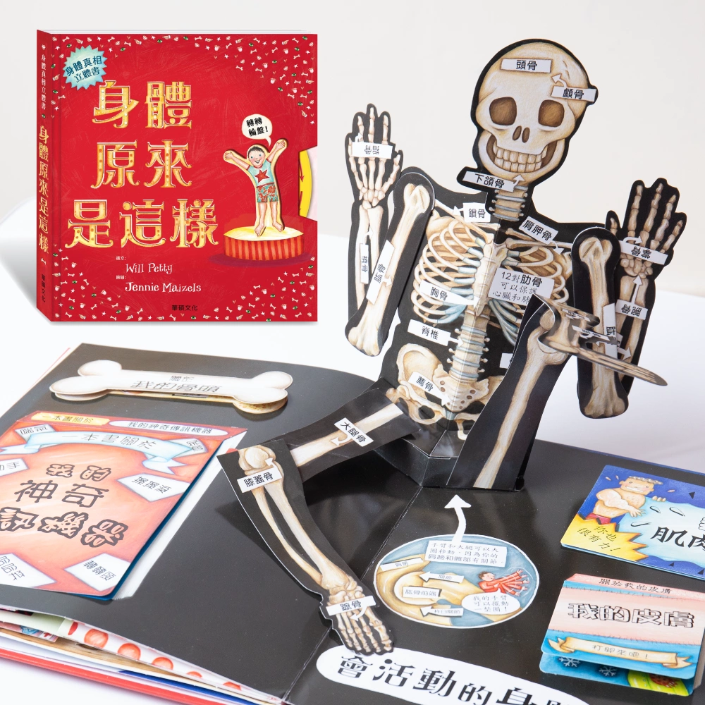 身體原來是這樣