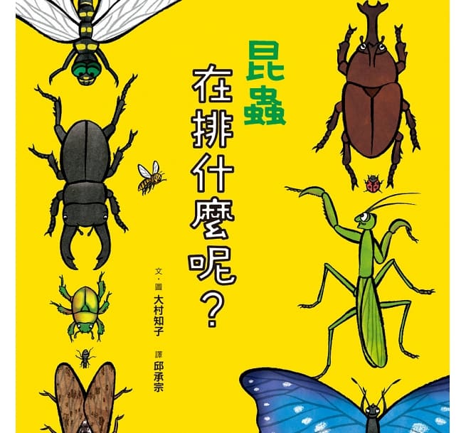昆蟲在排什麼呢？（二版）